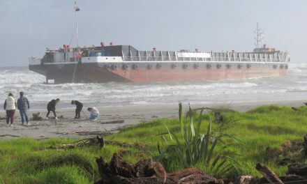Govt approved $30m to WMS despite warnings