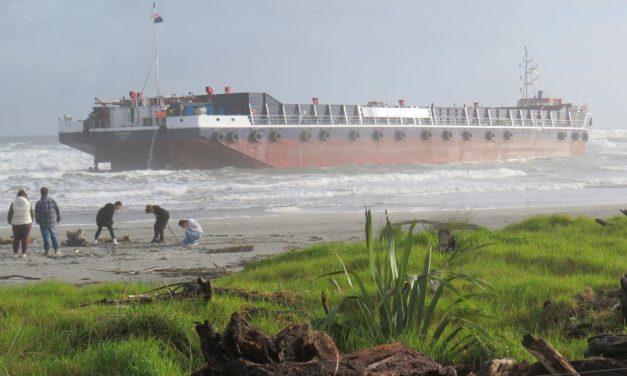Govt approved $30m to WMS despite warnings